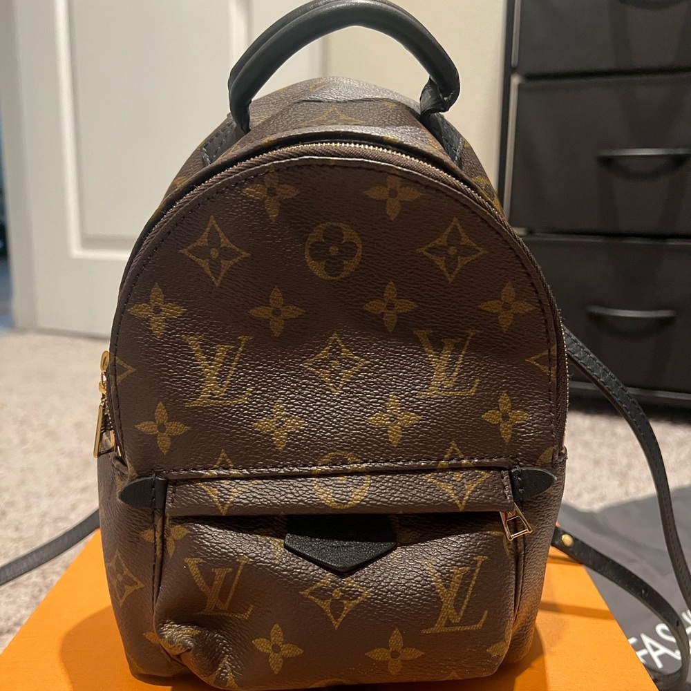 Louis Vuitton Palm Springs Mini